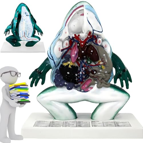 2Pcs Wound Packing and Tourniquet Simulator, Bleed Control Tourniquet Trainer?Stop The Bleed Training Kit for Medical Classes