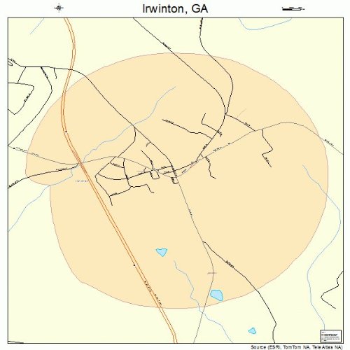 Large Street & Road Map of Irwinton, GA Printed poster size