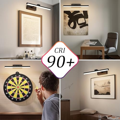 Coinmit Luz de imagem preta operada por bateria com controle remoto, 10.0000 mAh recarregável de 15,