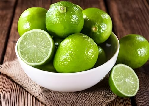 Image of All Time Seedless Lemon /Kagzi Dwarf Nimboo Live Plant, 1-2 Feet Height, Pack of 1