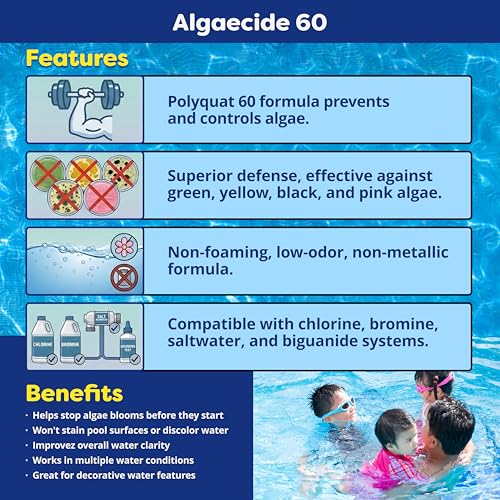 Image of In The Swim Algaecide 60 Plus for Swimming Pools - 1 Quart