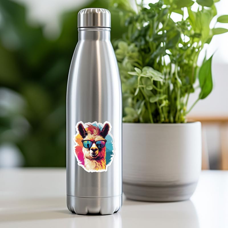 Generic Nicholas Cage Cat Sticker Decal Bumper Sticker 5 inch