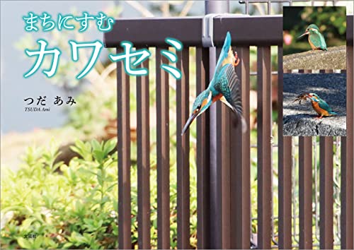 まちにすむカワセミ