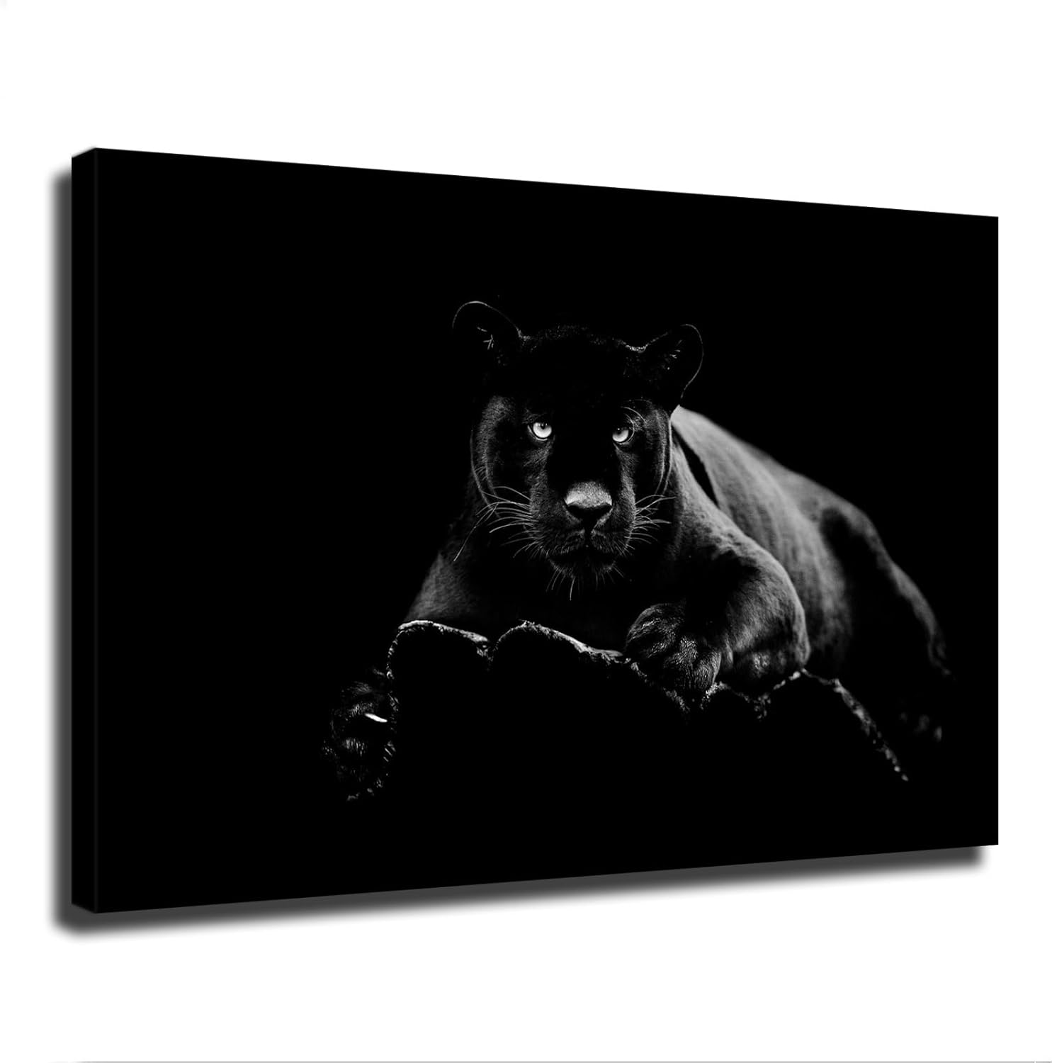 Qiz erotik dengiz tabiati Yosh bori serialidagi yalangoch aktrisalar