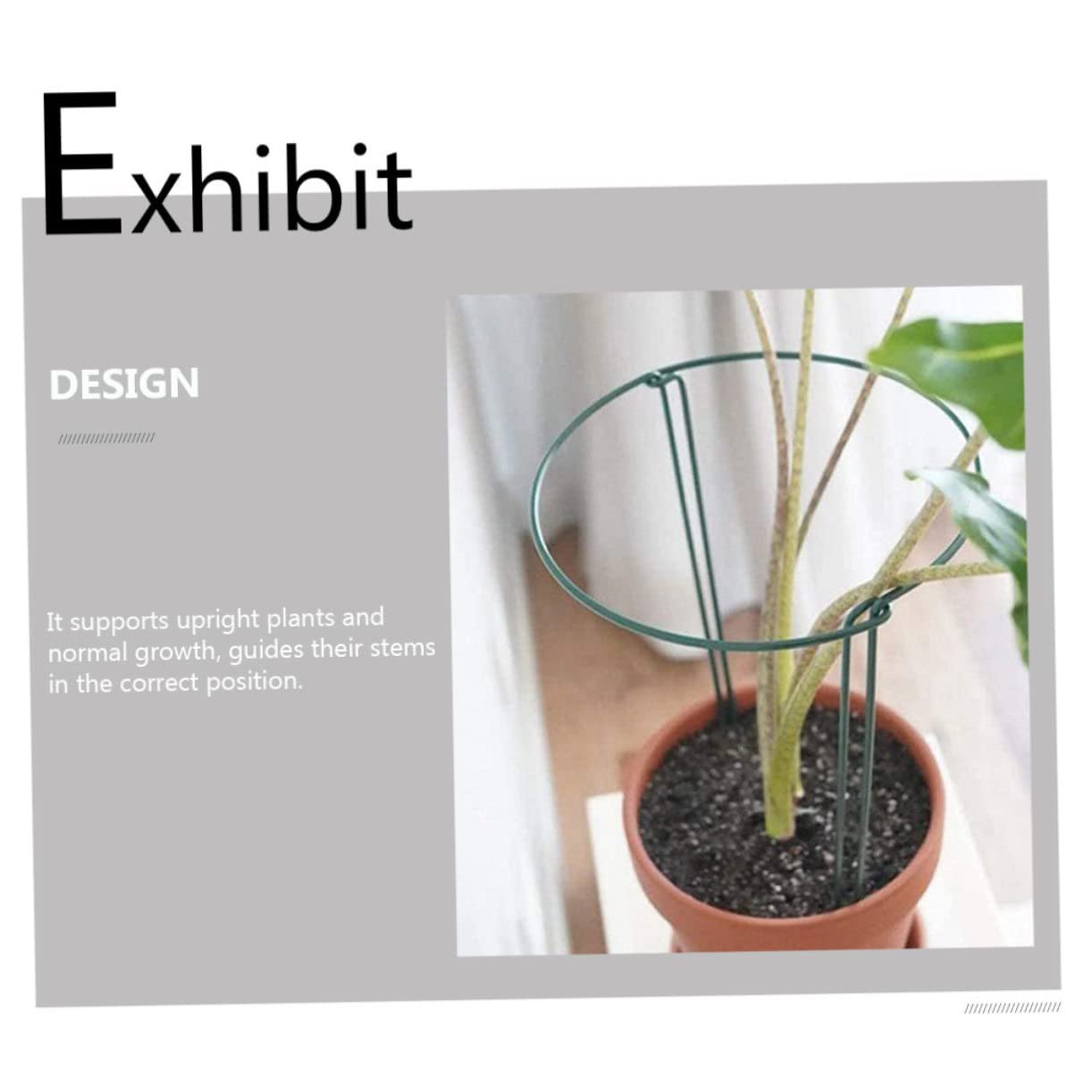 Lot de 6 Tuteurs pour Plantes en Fer Vert, Demi-Rond, Réutilisables, pour Guider Les Tiges et Soutenir Les Plantes Grimpantes au Jardin