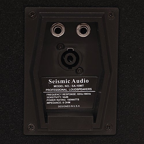 Seismic Audio - Sa-10Mtsingle - 10" Floor / Stage Monitor Wedge Style With Titanium Horn #TOP5