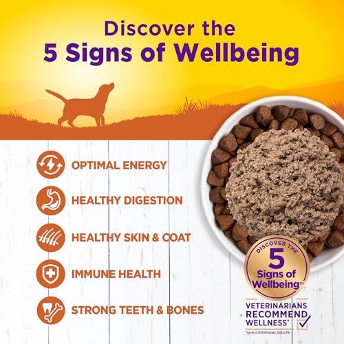 Image of Wellness Complete Health Pate Adult Canned Wet Dog Food, Wholesome Grains, Natural, Turkey and Sweet Potato, 12.5 oz, Pack of 12 Cans