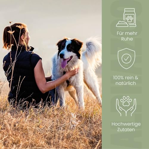 alphazoo Seelenruhe Futteröl für Hunde 100 ml - Leinöl kaltgepresst mit Baldrian & Hopfen - Omega-3 Omega-6 Fettsäuren - Futterergänzung ohne künstliche Zusätze - für Silvester Autofahrt Gewitter