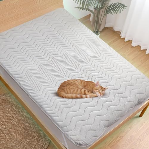 yɌ ۋgz ~pbh xbhpbh xbh}bg ̈U _炩 CICAێ dۉ ڐG Z~_u H ~p  h_j z ې􂦂 Soht ʋC R hL _炩 ɂ Q΍  