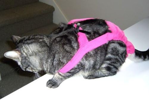 Hot Pink Piddle Pants(TM) for Medium Cat (Measuring 15"-17" from Collar to Base of Tail)