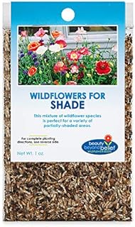 Sponsored Ad - Partial Shade Wildflower Seeds Bulk - Open-Pollinated Wildflower Seed Mix Packet, No Fillers, Annual, Peren...