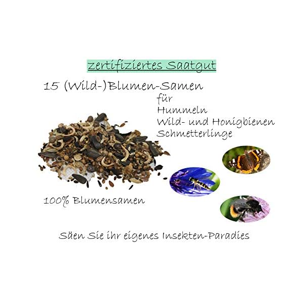 30qm Blumenwiesensamen als Blumen Mischung einjährige Bienenweide, insektenfreundlicher Garten wilde einjährige… – Bild 6