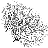 BESPORTBLE 2 Unidades de Ramas de Coral Artificial Negro para Decoración de Acuarios Corales Decorativos Resistentes de Plástico Accesorios para Peceras Diseño Realista para Paisajes