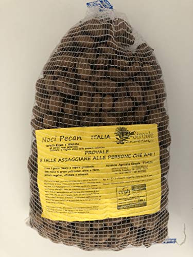 Noci pecan italiane in guscio (4)