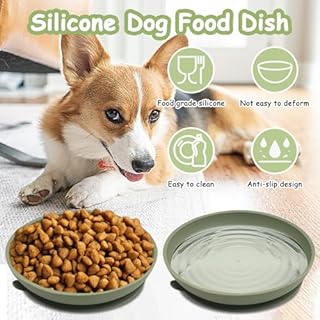 Apatal Silicone Dog Bowl Set of 2-7.7in No Spill Puppy Food and Water Dish Less Mess Cat Plates with Suction Cup Non-Tippable Feeding Bowls for Small & Medium-Sized Pets (Round Green)