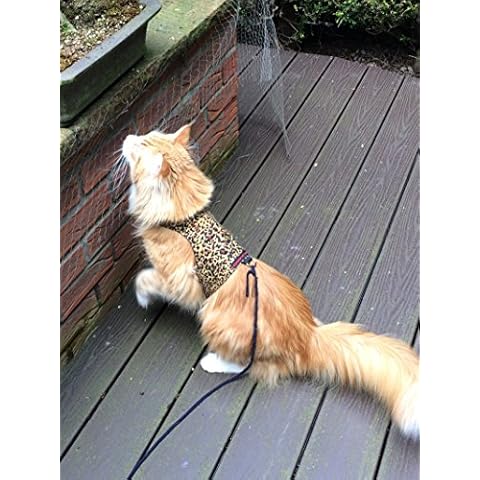 mynwood cat jackets/Harness Cheetah Adult Cat Cover