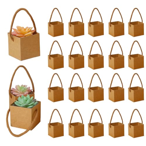 40 Piezas Bolsas De Regalo Suculentas, Maceta De Papel Para Plantas Suculentas, Mini Cajas De Suculenta, Para Cumpleaños, Bodas, Baby Showers, Regalos De Fiesta, Marrón