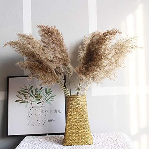 YMSWTF 20 Pcs Natural Pampas Grass Bunch Cover