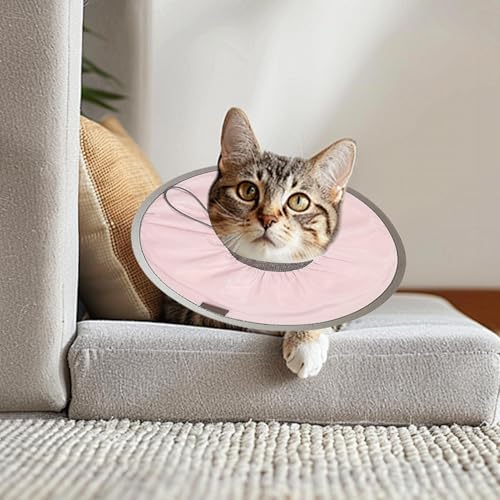 Collar de cono para gatos con diseño ligero y acolchado protector 3