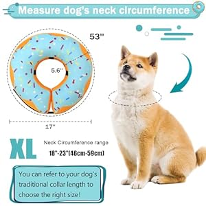 Recovery Donut Collar for Dogs  Catinflatable Dog Cone Collar Alternative After Surgerysoft Dog Cone for Large Medium Small Dogadjustable Dog Neck Donut Collarbluexlarge  Cucciolini Doodles Recovery donut collar for dogs  catinflatable dog cone collar alternative after surgerysoft dog cone for large medium small dogadjustable dog neck donut collarbluex large   cucciolini doodles
