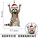 Funny Christmas Ornaments, Racoon Christmas Ornament, Christmas Ornaments 2026, Raccoon Gifts for Women Animal Lovers, Animal Gifts for Friends, Coworker, Raccoon Ornament Christmas Decorations