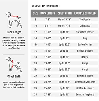 Amazon Com Canada Pooch Everest Explorer Dog Jacket Hooded Winter Dog Coat Green Camo 16 15 17 Back Length Pet Supplies