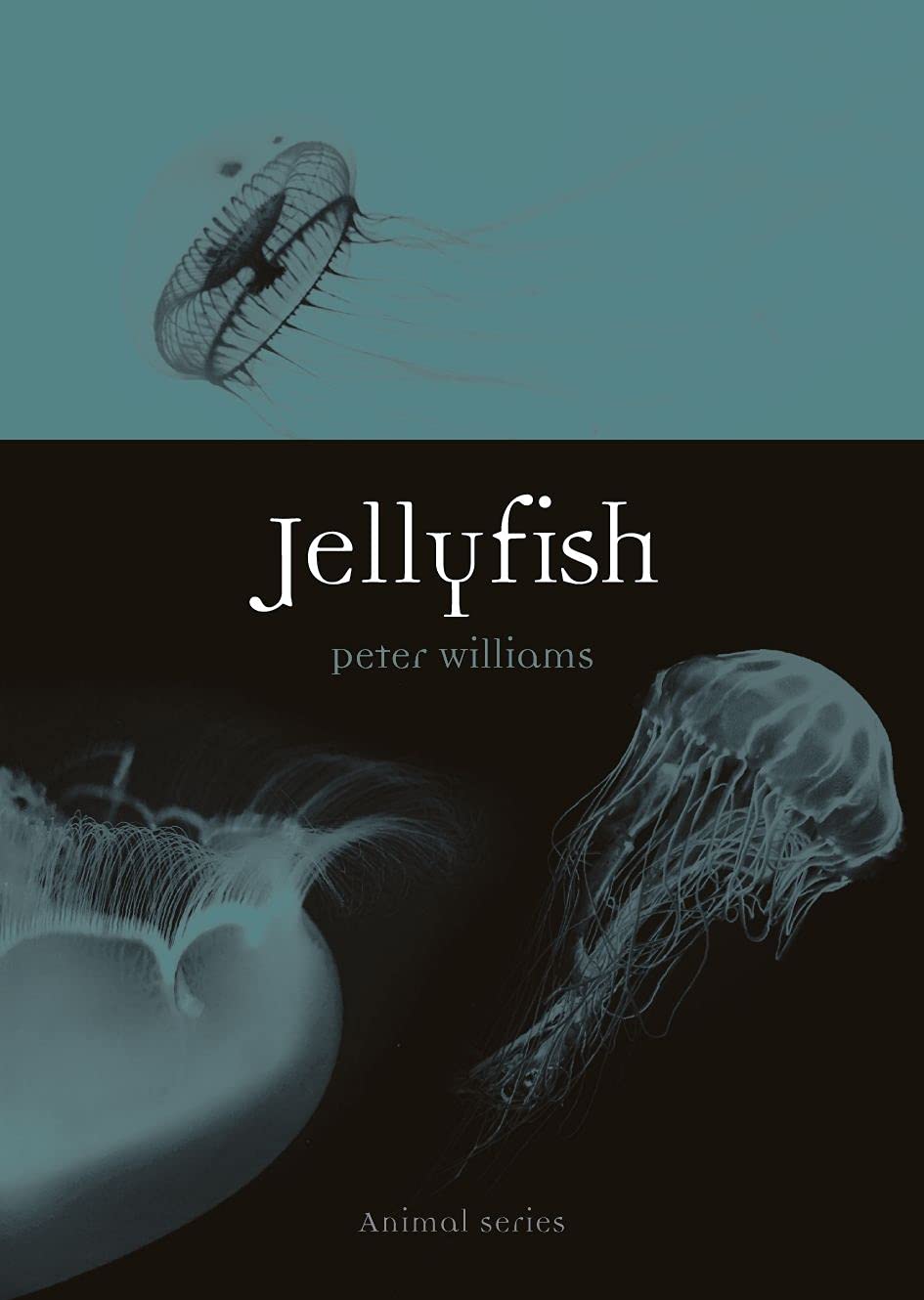 Jellyfish by Peter Williams - 9781789142150