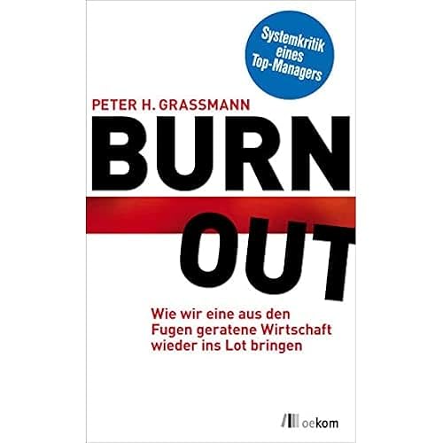 BurnOut: Wie wir eine aus den Fugen geratene Wirtschaft wieder ins Lot bringen