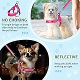 SlowTon No Pull Small Dog Harness and Leash Set, Puppy Soft Vest Harness Neck & Chest Adjustable, Reflective Lightweight Harness & Anti-Twist Pet Lead Combo for Small Medium Dogs (Fuchsia, XXS)