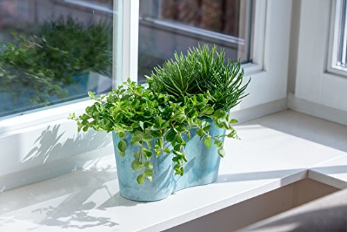 Artstone Vaso da fiori, per piante duo Claire