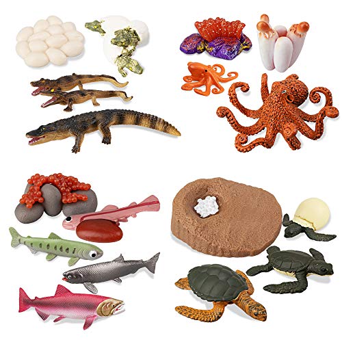 TOYMANY 17PCS Sea Animal Life Cycle Figurines of Green Sea Turtle Crocodile Octopus Salmon Fish, Plastic Marine Figures Toy Kit School Project Cake Topper Party Supplies for Kids Toddlers TOYMANY 17PCS Sea Animal Life Cycle Figurines of Green Sea Turtle Crocodile Octopus Salmon Fish, Plastic Marine Figures Toy Kit School Project Cake Topper Party Supplies for Kids Toddlers