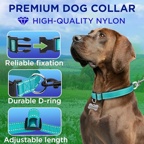 Collar Reflectante para Perro TECEUM, Nylon, Color Teal, Talla L miniatura 2