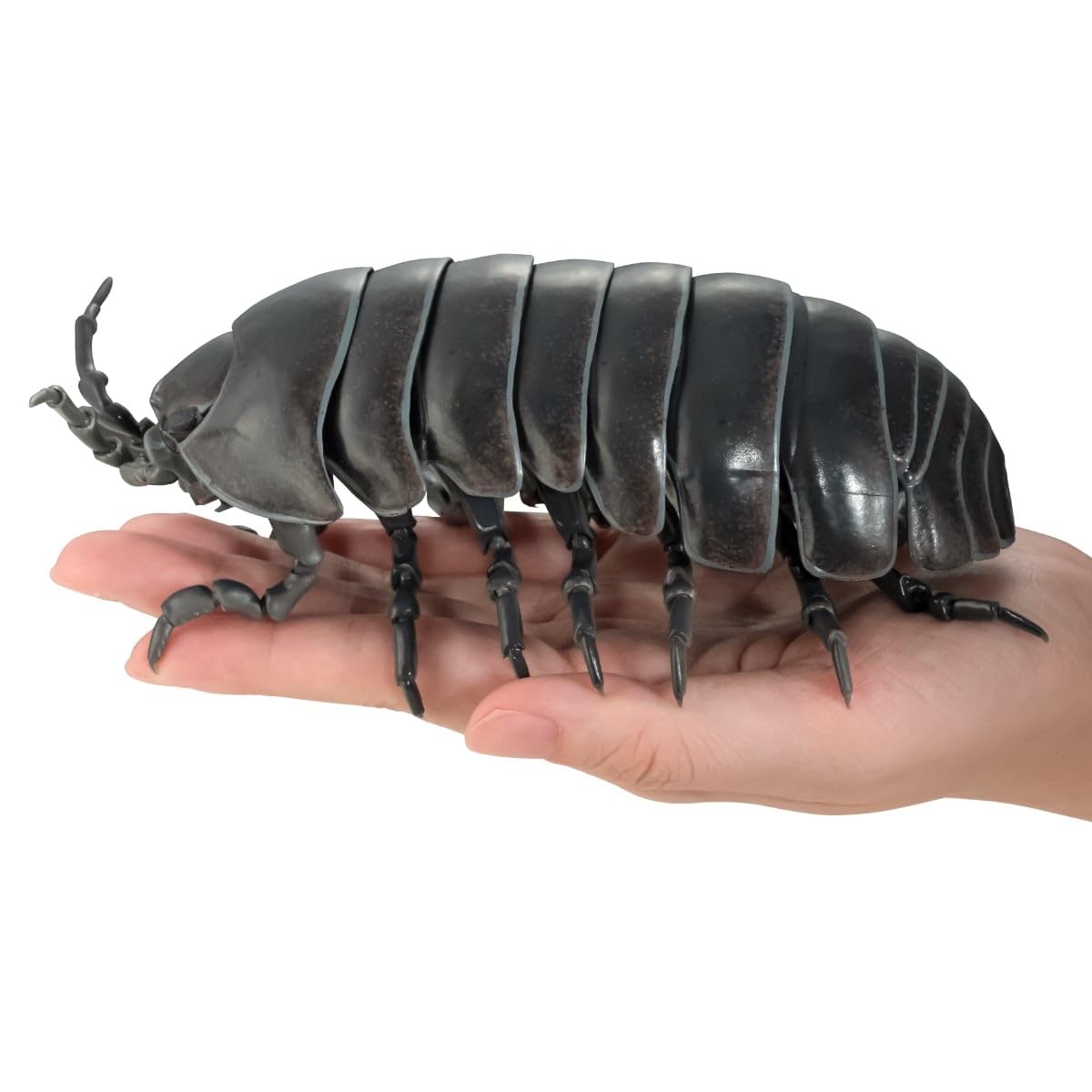 Amazon | いきもの大図鑑アドバンス ダンゴムシ (重塗装版) [全3種