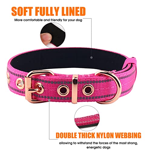 Collar para perro con neopreno acolchado y cierre de hebilla, mediano rosa miniatura 5