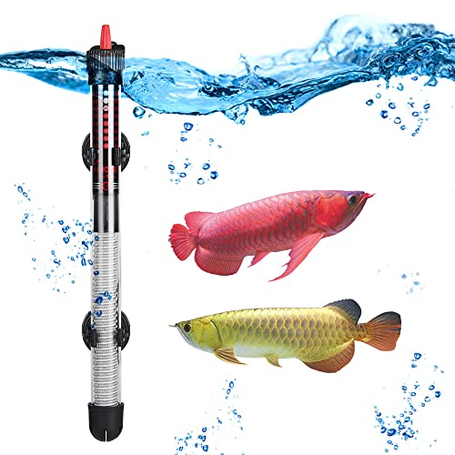 The 10 Best fish for 30 gallon freshwater tank In 2022 BestWeldingGears