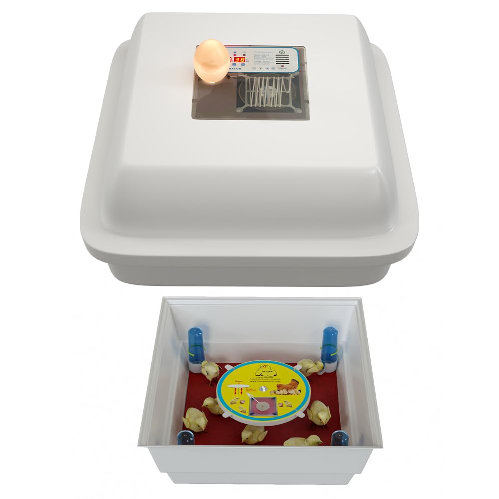 56 egg, double-walled body, fully Automatic egg incubator, plus indoor Artificial mother, multi-power, chicken poultry incubator, hatching machine, solar, incubator machine, فقاسه ، فقاسه‌ بیض