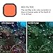GEPULY 4 Pack Underwater Dive Filters for GoPro Hero 8 9 10 11 12 13 Black Official Waterproof Housing Case in Red, Light Red, Magenta, and 5X Close-up Filters for Underwater Color Correction