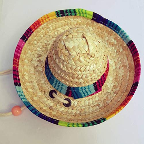 Floratek 6 Pack Mini Mexican Hat, 6-Inch Woven Straw Mini Sombrero Hats For Party Decorations Child Animal Dogs Cats Brown #TOP2