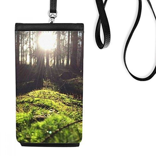 Cadeau porte-monnaie original imprimé paysage de forêt lumineuse