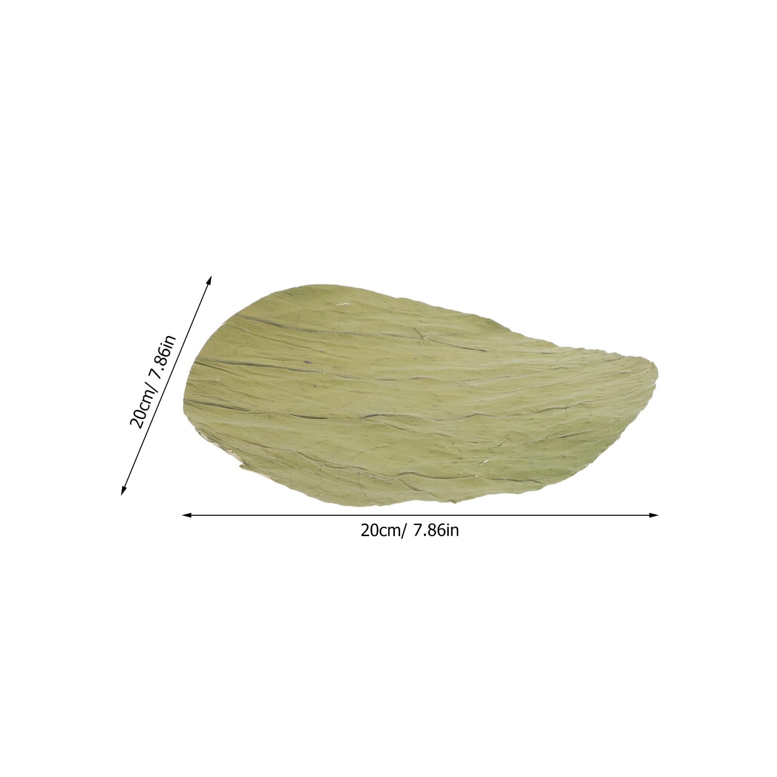 GARVALON Foglie di Loto Essiccate Rotonde di Rivestimento Naturale Affidabile e Sano 100 Pezzi per Sushi per Decorazioni e Preparazioni