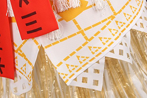 Jerrisapparel Princess Costume Skirt Set Little Girls Cosplay Dress Up (3T-4T, Multicolor) #TOP4