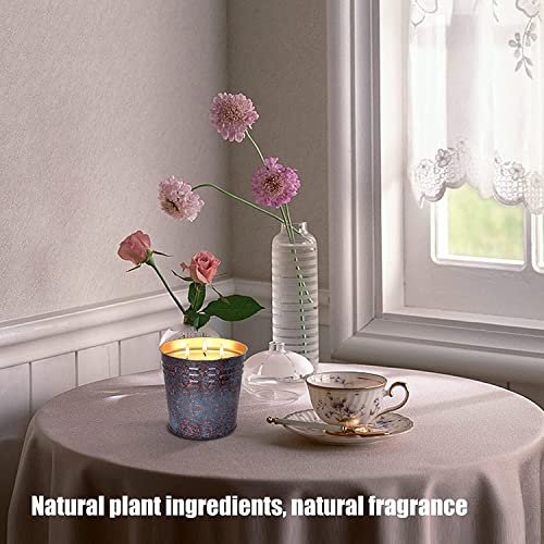 Hausware Large Citronella Candles Outdoor & Indoor, 2 X 20 Oz Scented Candles Set Natural Soy Wax Citronella Candles For Garden Patio Yard Home Balcony Camping Backyard Decorative #TOP2