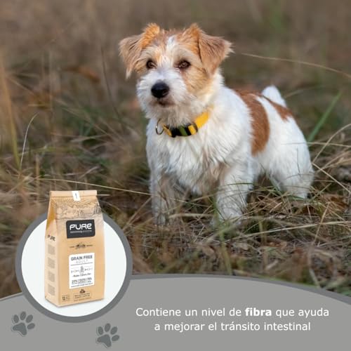 Avantis Pet Pure Grain Free Adult – Futter für Erwachsene Hunde Aller Rassen – 2 kg – 100% vollständiges und ausgewogenes Futter – mit Huhn und Getreide für Hunde mit Intoleranz und Allergie