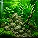 Java Moos Taxiphyllum barbieri für Aquarium, Süßwasser Wasserpflanze, Garnelen Deko, Aquascaping