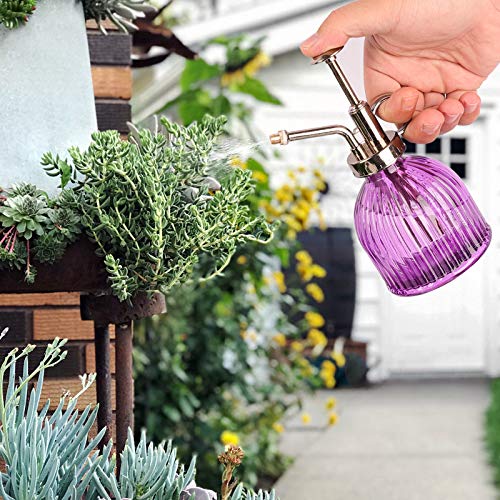 Ulikey Plantensproeier, spuitfles glas bloem water spray fles pot vintage stijl bloemenspuit waterspuitfles pomp… - Afbeelding 6