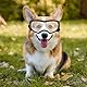 Hunde Sonnenbrille, Einstellbar Hundebrille, Schwarz Hundeschutzbrille, UV-Schutz, Winddicht, Augenschutz, Motorradbrille Schutzbrille, für Mittel Große Hunde (Transparente Objektive)