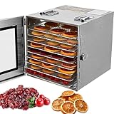 Wixkix 10 Trays Food Dehydrator, Food Dehydrator Machine with Digital Screen, Timer and Temperature Control Fruit Vegetable Drying Oven Industrial Machine,Stainless Steel, 1000W 110V