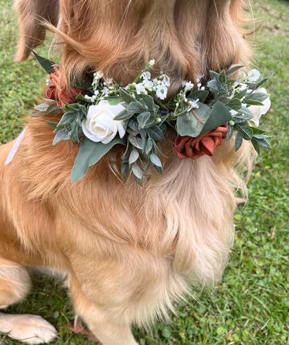 Generic Wedding Dog Collar, Floral Ring Dog Collar thumb #2