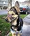 BARKLESS Dog Muzzle Leather, Soft Secure Anti-Barking Leather Muzzle for Large Sized Dogs to Prevent Biting, Breathable and Adjustable, Allows Drinking and Panting, Used with Collars