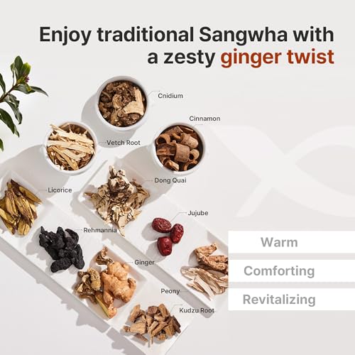 KWANGDONG Ssang Hwa Jin (Ginger) - Korean Traditional Herbal Ginger Tea, Supports General Wellness, Energy, and Vitality, 10 Pouches